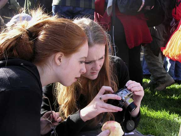 Photogs