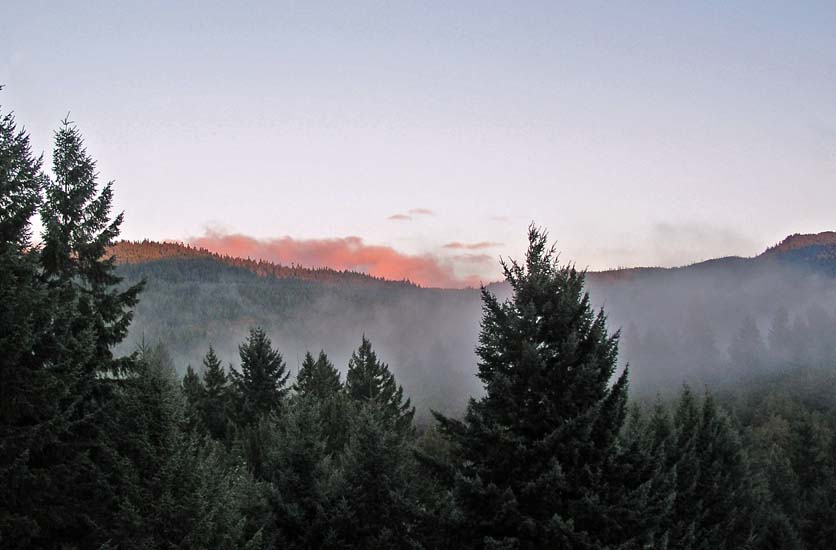 MorningView