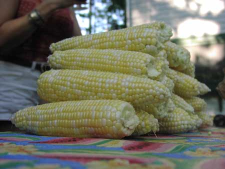 a.Corn