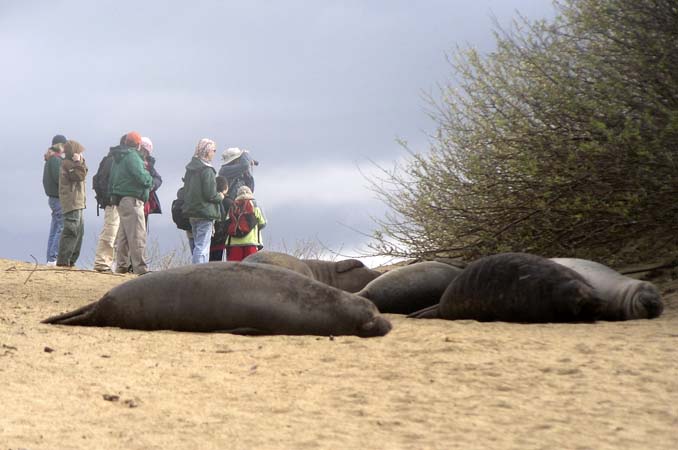 Seals