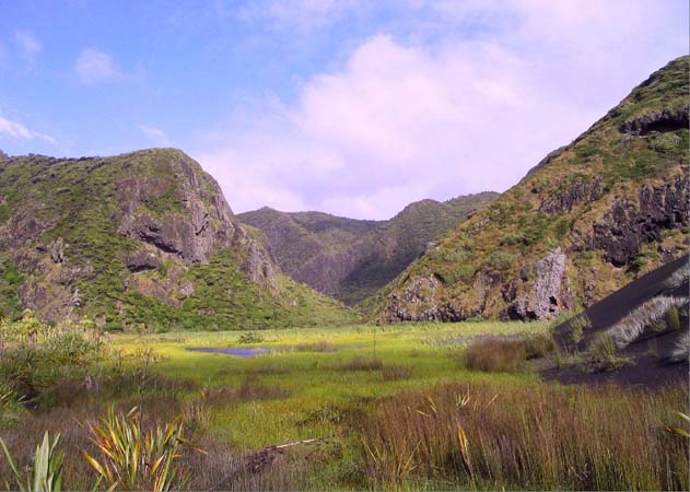 Pararaha - Entrance swamp