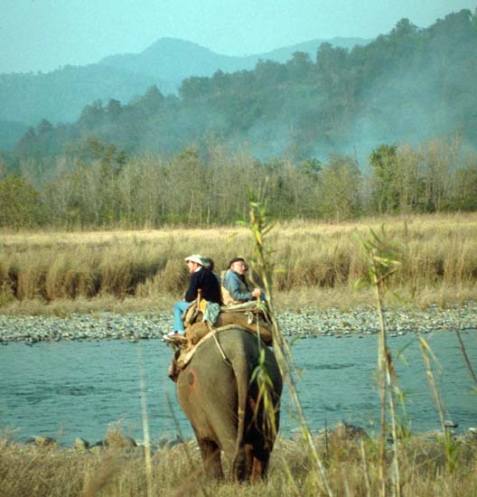 GBengalTigerHunt