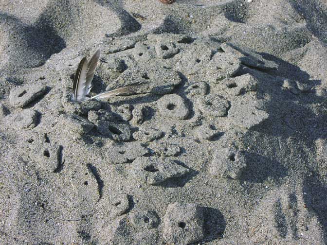 fSandArt