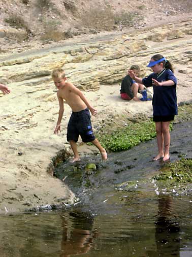 jBoatRaces