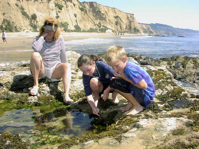 nTidepool