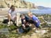 nTidepool