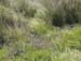 rTrailside
